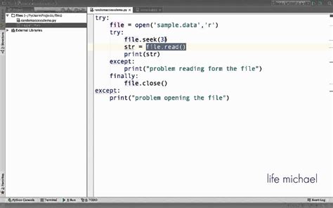 random file access in python
