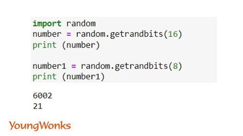 random function in python documentation