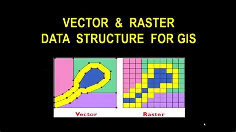 raster and vector data structure in hindi