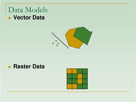 raster data model vs vector data model