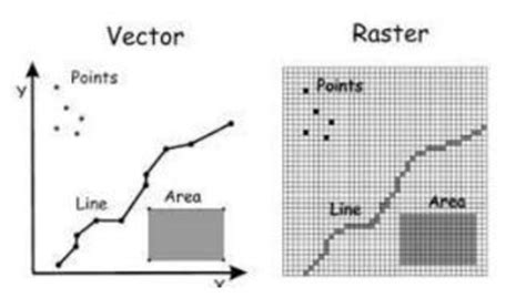 raster data vs vector data examples