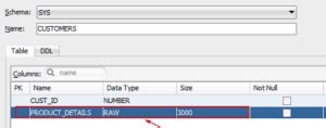 raw data type in oracle 19c