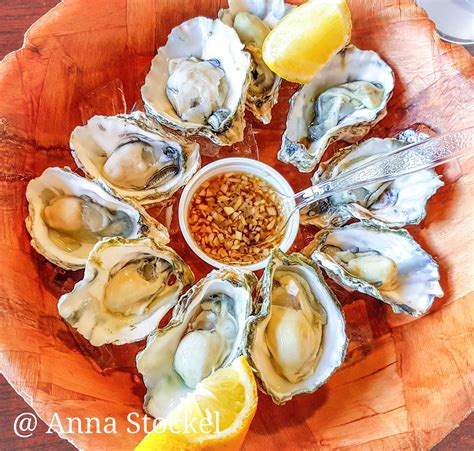 Ilustrasi Oyster Mentah