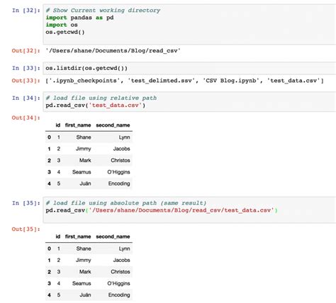read csv file in python pandas with path