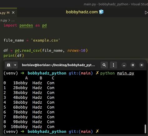 read large csv file pandas