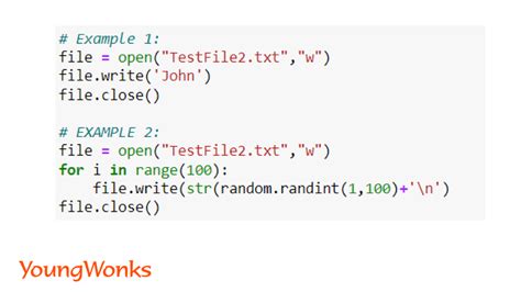 read text file in python dataframe