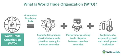 real world example.of world trade organization