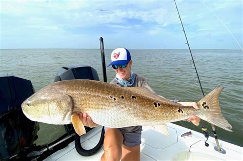 Red Drum Tide Fishing