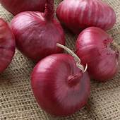 red onion varieties