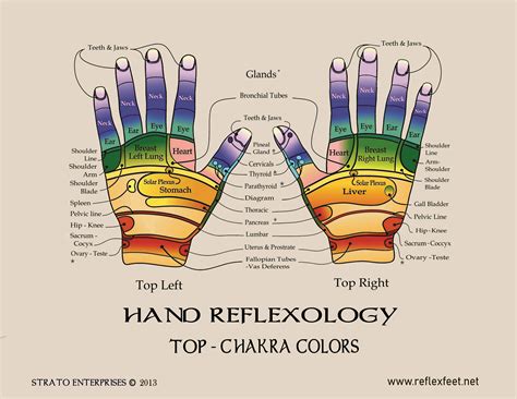 Reflex Hand Chart