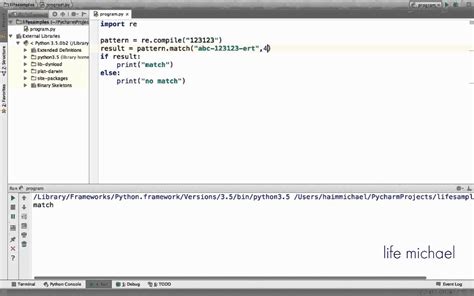 regular expression match function in python