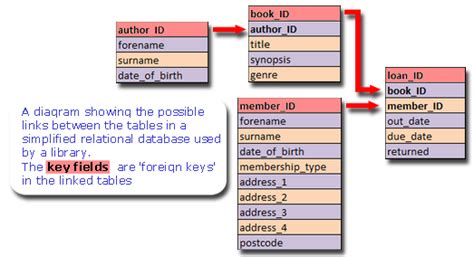 relational database definition in dbms