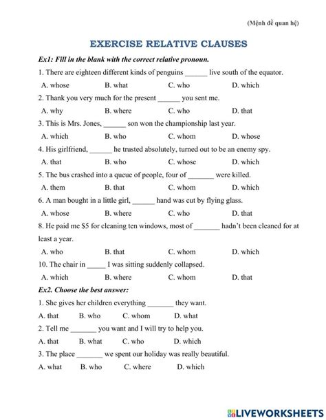 relative clause who which exercises pdf