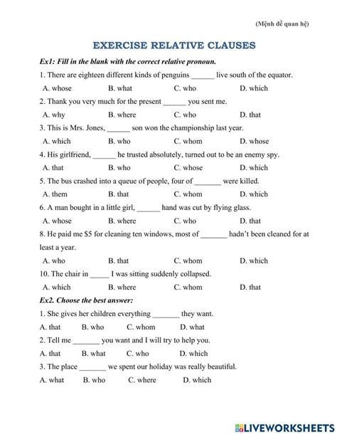 relative clauses exercises for class 8 with answers