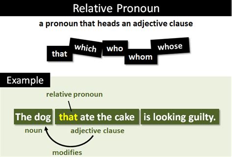 relative pronoun simple definition and examples
