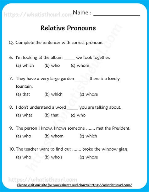relative pronouns exercises with answers pdf class 8