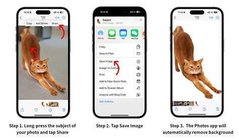 remove background from image iphone free