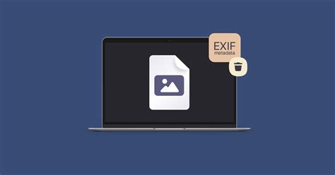 remove exif data from video
