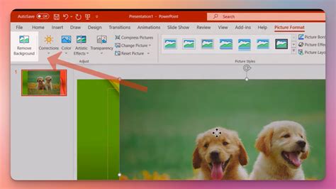 remove picture background in powerpoint on mac