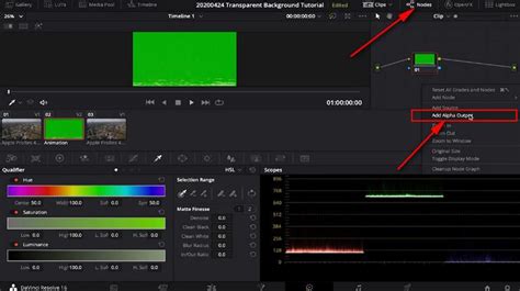 remove white background davinci resolve