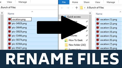 rename all files in a folder