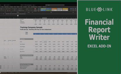 report writer excel