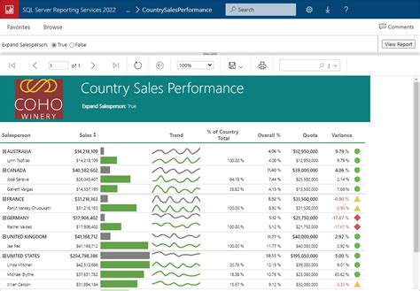 reporting tools for sql server
