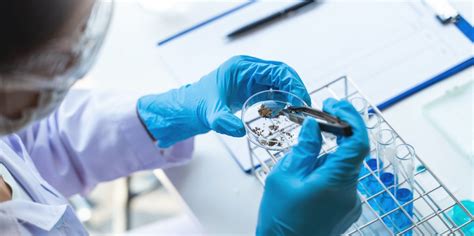 research projects in life sciences