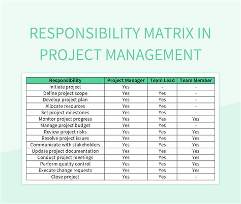 responsibility matrix in project management example