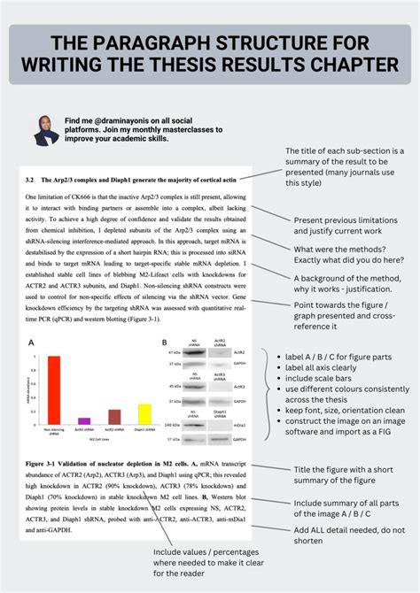 results chapter thesis example
