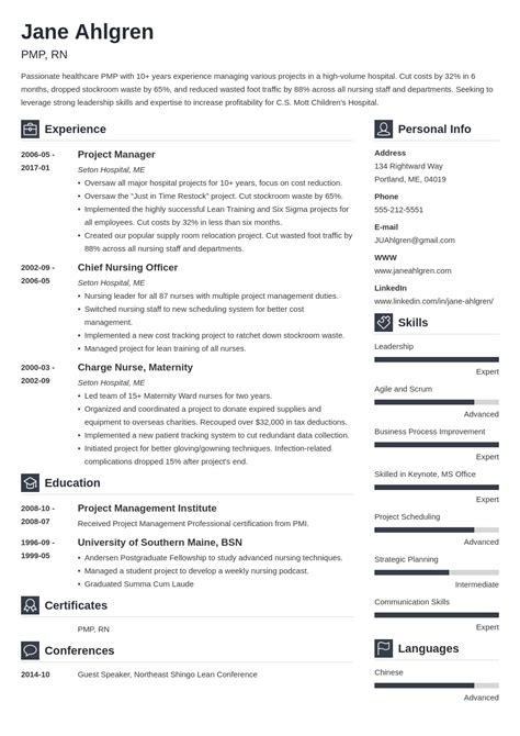 resume example text