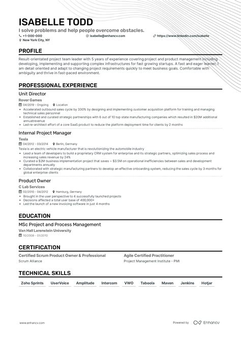 resume examples basic