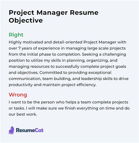resume objective statement for project manager