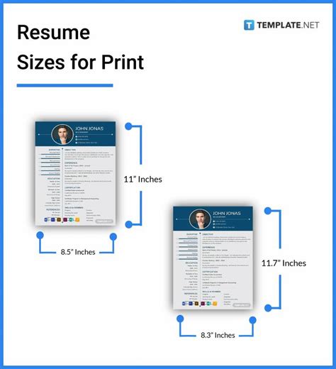resume text format and size