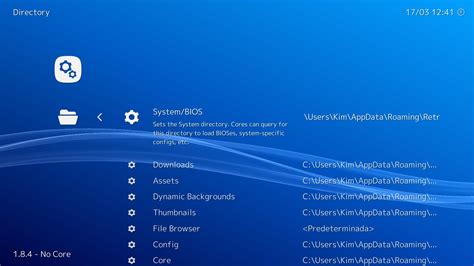 retroarch android config file location
