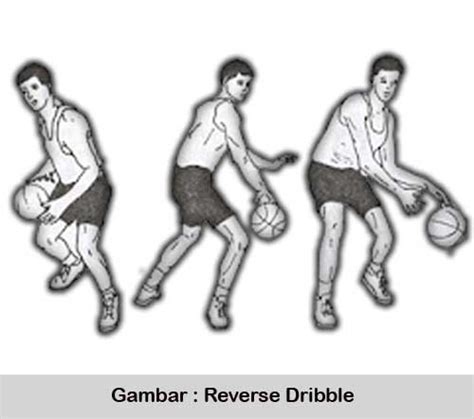 reverse dribble bola basket
