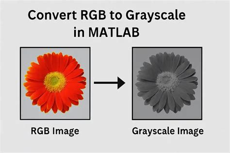 rgb grayscale matlab