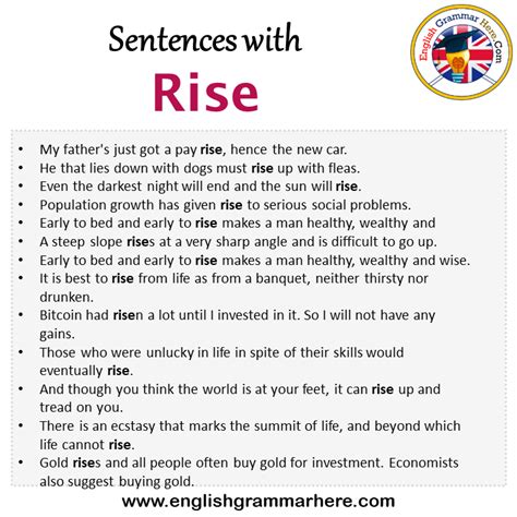 rise in a sentence examples