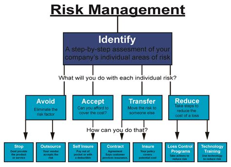 risk control strategies examples