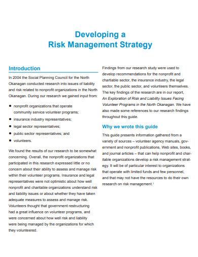 risk management strategy example pdf