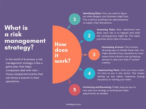 risk management strategy sample