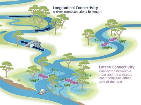 Image showing connectivity from ulu to ilir