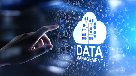 Role of Technology in Data Management and Data Analysis