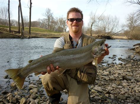 Root River Fishing