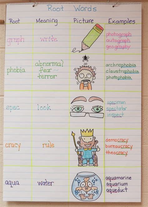 root word examples graph