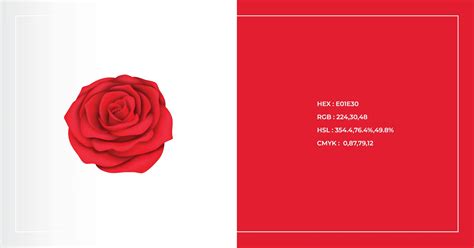 rose red colour hex code