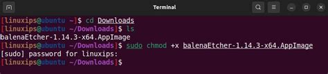 run appimage file from terminal