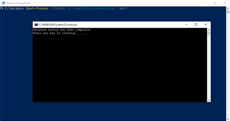run batch file from powershell command line