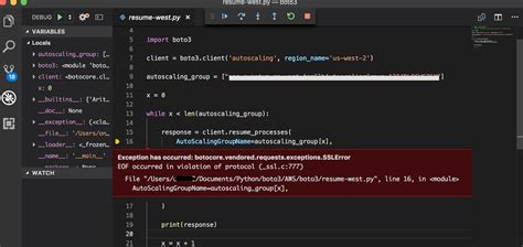 run python in visual studio code with arguments