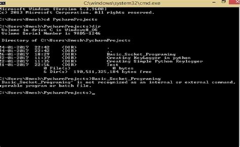 run python program from command line
